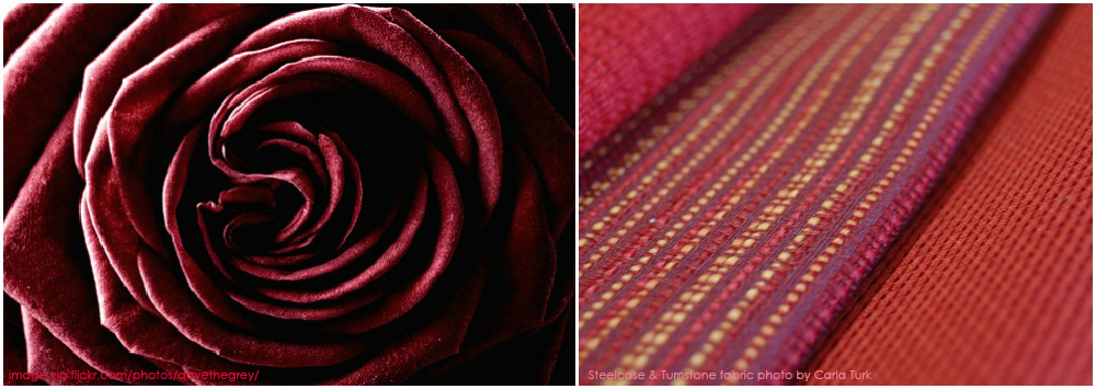 red_collage_with_text