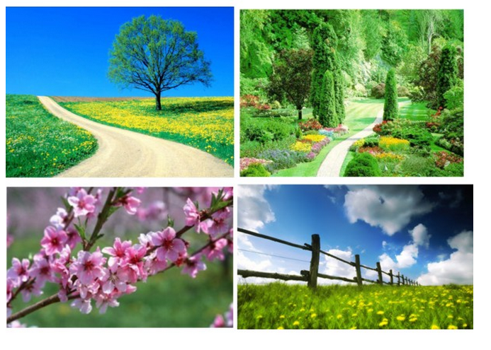 screen-shot-2013-03-29-at-4