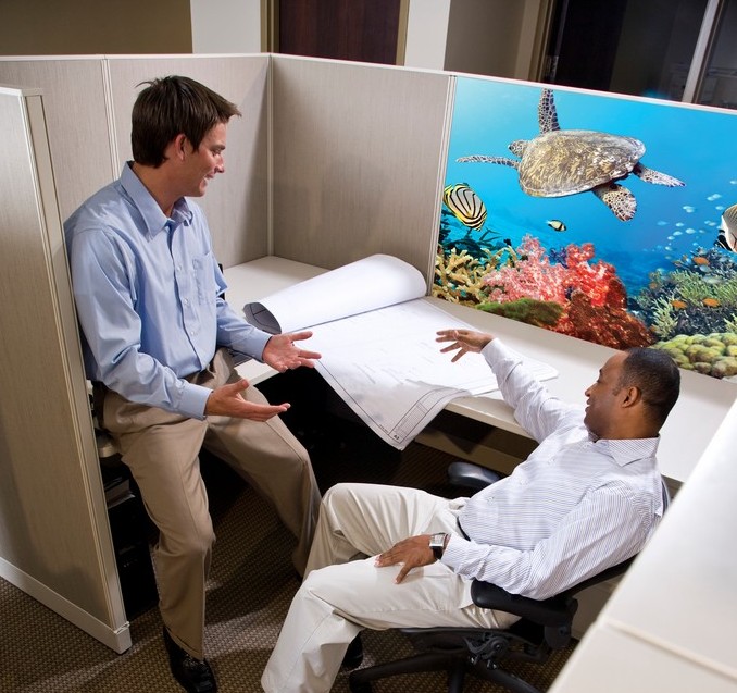 cube1-e1374001573143