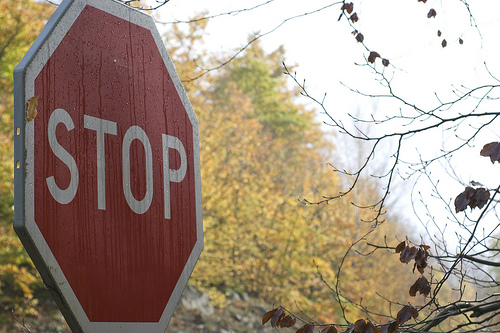 2971658475_e27d08f561