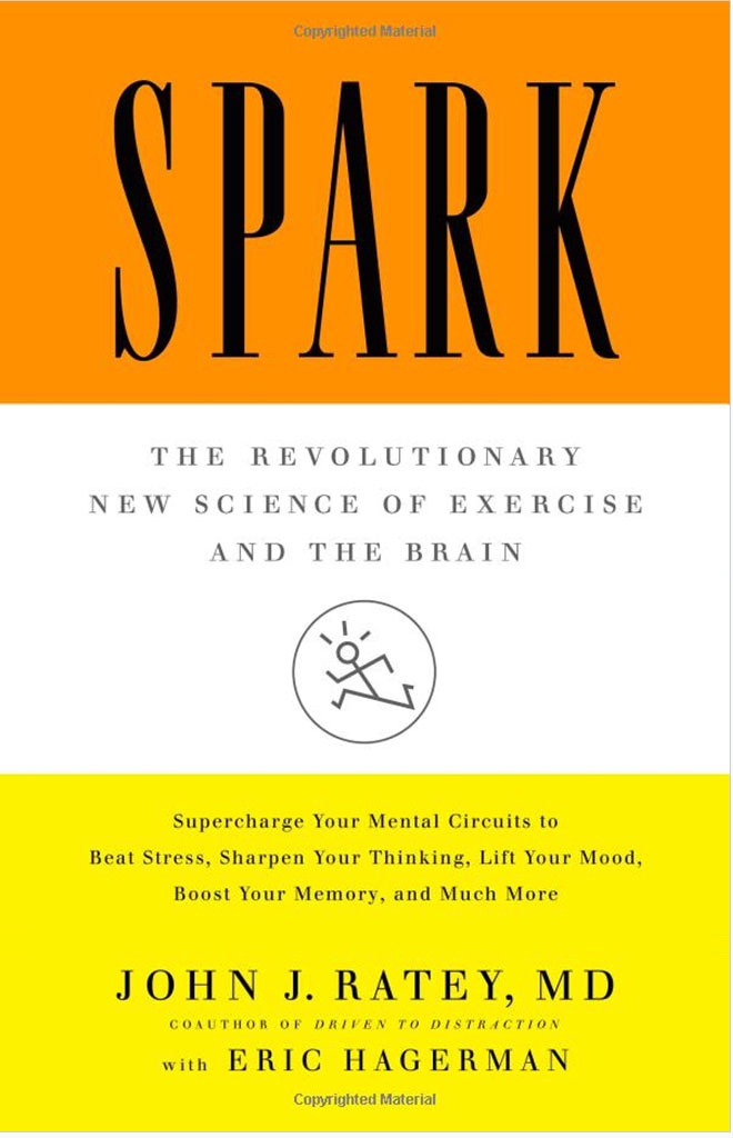 spark-book-cover5